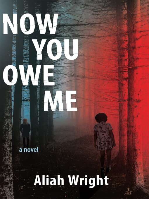 Title details for Now You Owe Me by Aliah Wright - Wait list